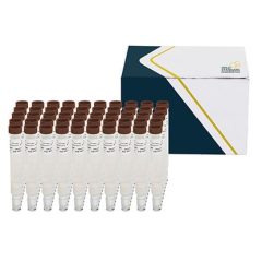 SENSIColumn IAC Deoxynivalenol