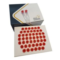 SENSIPure Aflatoxin Total IAC