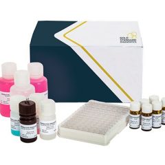 SENSISpec ELISA Aflatoxin Total