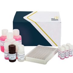 SENSISpec ELISA Deoxynivalenol