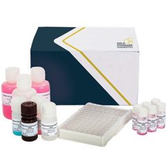 SENSISpec ELISA Deoxynivalenol Rapid