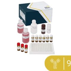 SENSISpec Tetracycline ELISA, 96 tests