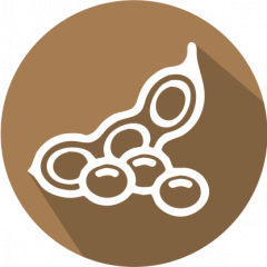 GMOIdent RT IPC (LR) Event MON89788 Soy