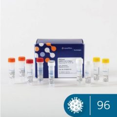 VIRSeek SARS-CoV-2 Mplex